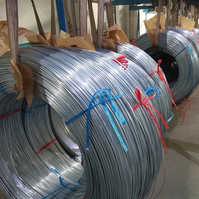 SPCD OD4.76 WT0.65 Tubo di acciaio a parete singola a bobina rotonda, tubo di acciaio saldato per applicazioni in frigorifero